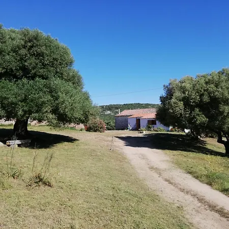Holiday home Stazzo Mit Garten In Luogosanto