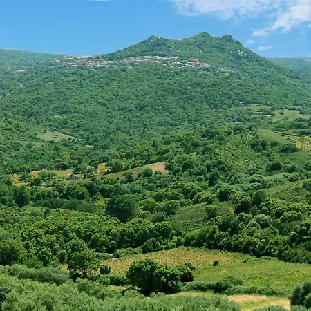 Stazzo Mit Garten In * Luogosanto