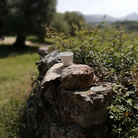 Prázdninový dům Stazzo Mit Garten In