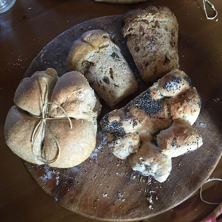 Stazzo Mit Garten In Luogosanto